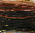 Polished Tiger Iron Stromatolite - ( Billion Years) #75839-1